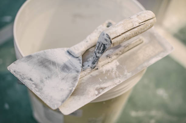 Best Post-Construction Mold Inspection  in Sacaton, AZ
