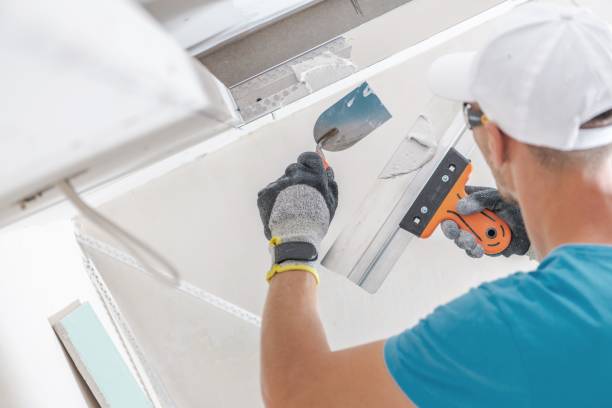 Best Comprehensive Air Testing for Mold Contaminants  in Sacaton, AZ